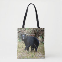Ours noir de Floride