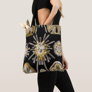 Tote Bag Oursins Vintage Dollars des Sables par Ernst Haeck