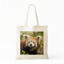 Panda-007 rouge, panda rouge