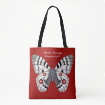Papillon d'Apollo dorsal et ventral
