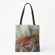 Papillon du Fritillaire de Californie du Golfe