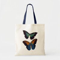 Papillons 5
