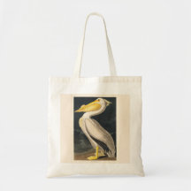 Pélican blanc d'Amérique audubon abattu