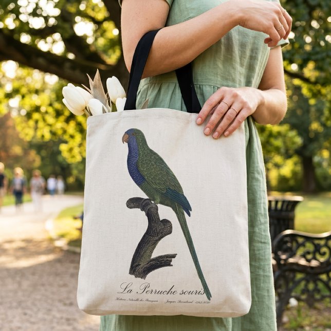 Tote Bag Perruche Moine, Myiopsitta Monachus (Monk Parakeet or Monk Parrot, Myiopsitta Monachus. Tote Bag)