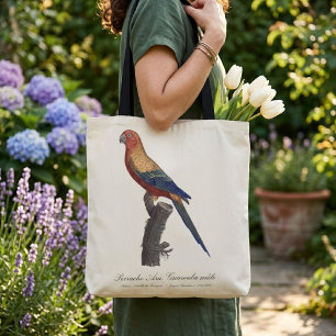Tote Bag Perruche soleil mâle, Aratinga solstitialis