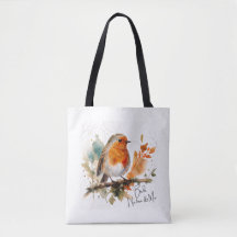 Petit Robin - Les oiseaux, la nature et moi