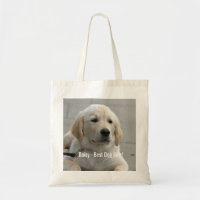 Photo et nom personnalisés Golden Retriever Dog