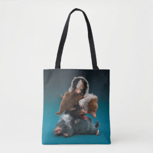 Tote Bag Pile bébé NIFFLER™