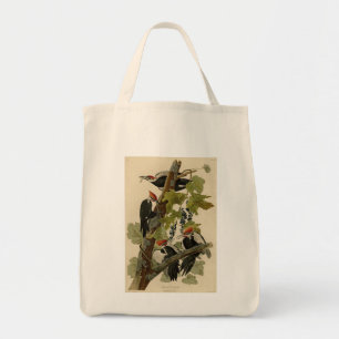 Tote Bag Pileated Woodpecker from Audubon Birds of America