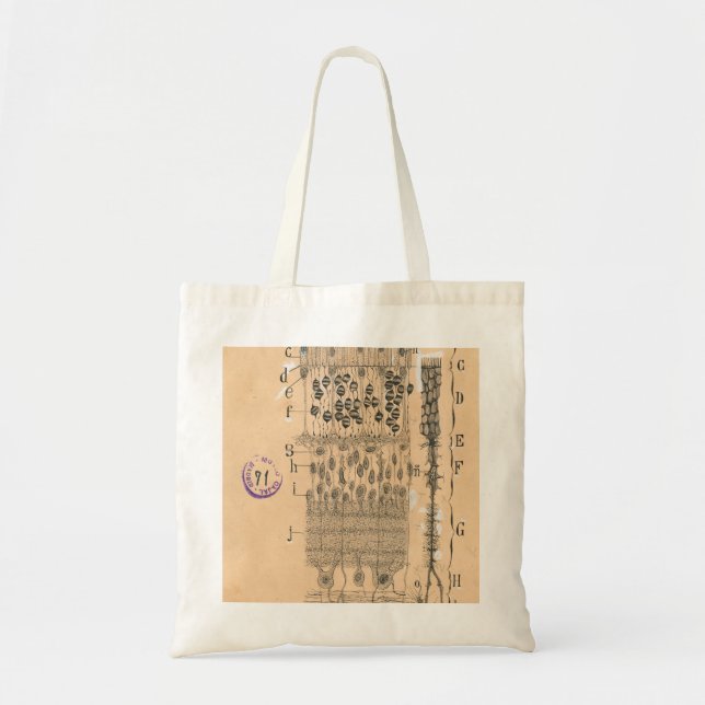 Tote Bag Piles Dessin Oeil Retina Santiago Ramon Y Cajal (Devant)