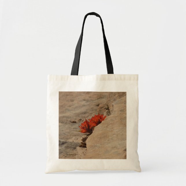 Tote Bag Pinceau indien en roche à Sion (Devant)