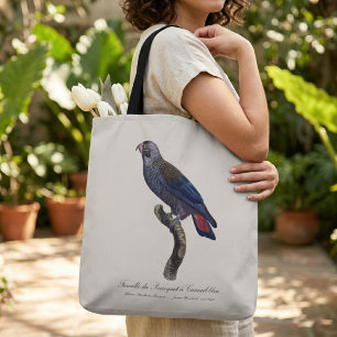 Tote Bag Pione violette, Pionus fuscus