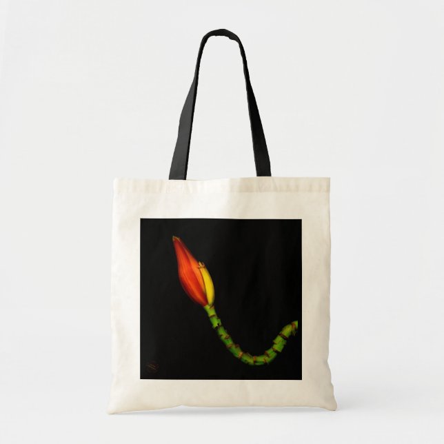 Tote Bag Plantes sur des emballages - fleur rouge de banane (Devant)