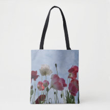 Poppies