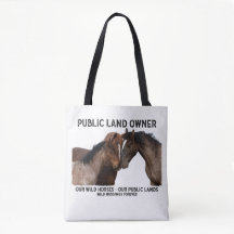 Propriétaire public