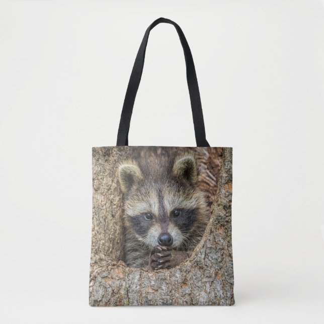Tote Bag Raccon niché à l'intérieur d'un creux d'arbre (Devant)
