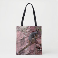 Rare Pied Jaune Rock Wallaby et Baby Australie