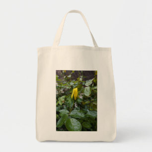 Tote Bag Rose jaune dans la pluie