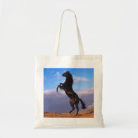 Stallion noir