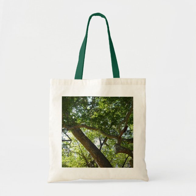 Tote Bag Sycamore Tree Nature verte (Devant)