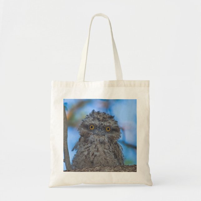 Tote Bag Tawny Frogmouth (Devant)