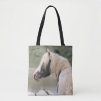 Thor Wild Horse