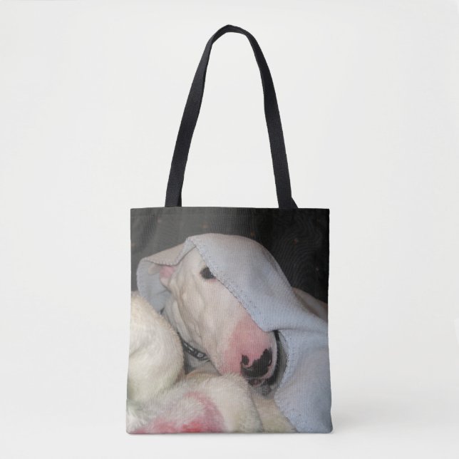 Tote Bag Tous dissimulés…. Presque ! (Devant)