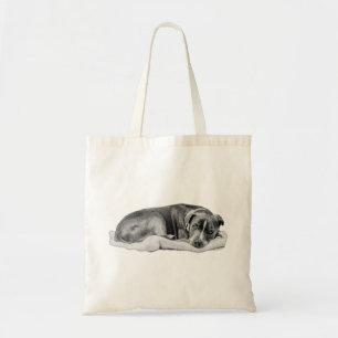 Tote Bag Transporter au calme avec une rampe de surveillanc