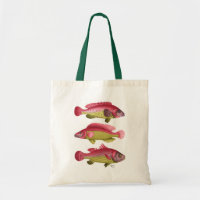 Trio poisson Imaginaire rouge et jaune