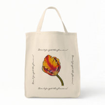 Tulipe de perroquet