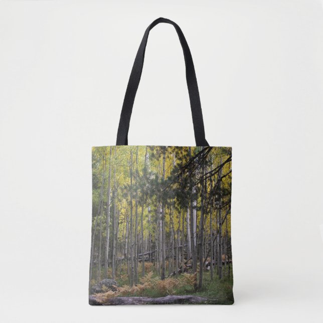 Tote Bag Un endroit confortable à Flagstaff (Devant)