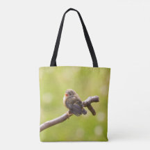 Un oiseau mignon chantant joyeusement en été