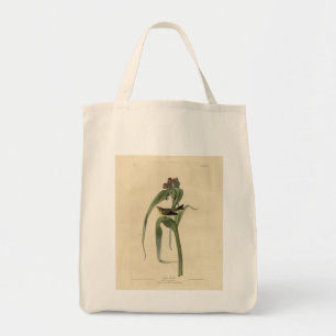 Tote Bag Vigors Vireo (Paruline des pins) Audubon Birds Amé