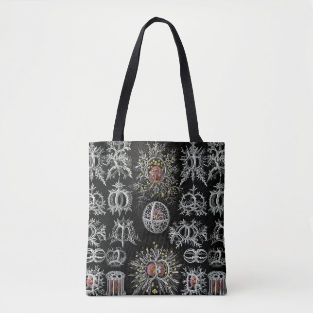 Tote Bag Vintage Ernst Haeckel Stephoidea (Devant)
