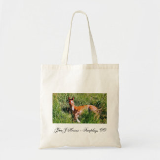 Tote Bag Weston fourre-tout