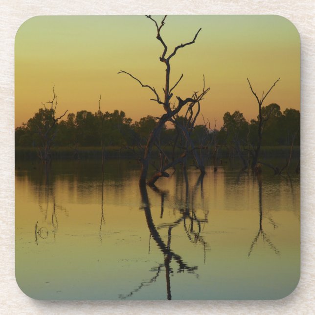 Tote Bäume, die in Lily Creek Lagoon, Morgengrauen Untersetzer (Vorderseite)