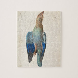 Tote blaue Rolle durch Albrecht Durer