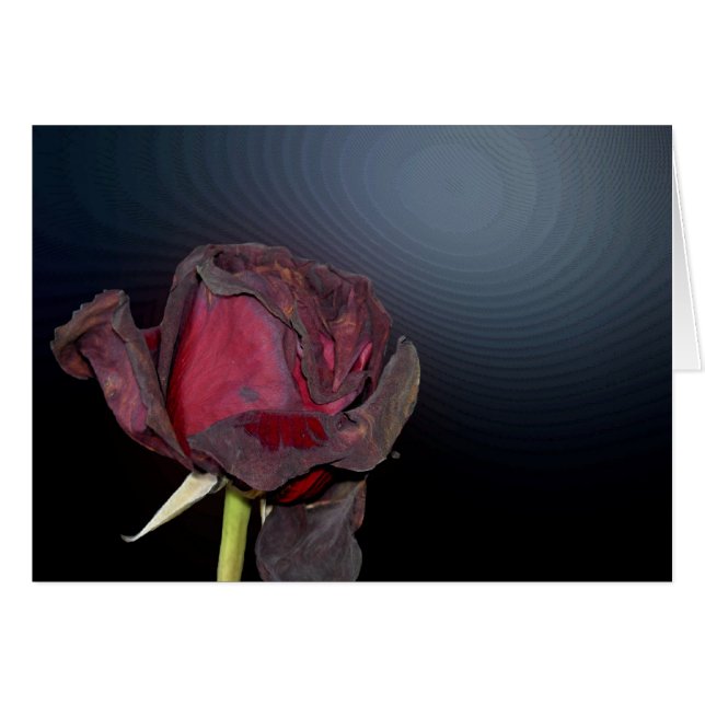 Tote Rosen 1 (Vorderseite (Horizontal))