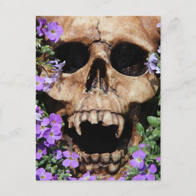 Totenkopf - Gothic / Postkarte (Vorderseite)