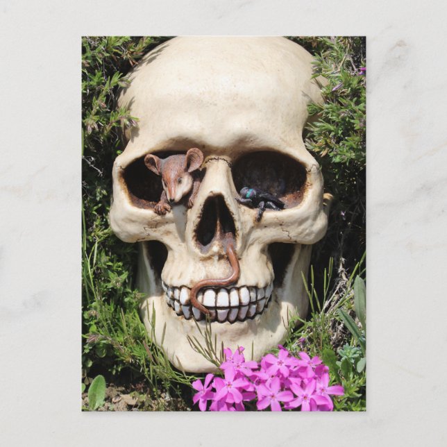 Totenkopf - Gothic / Postkarte (Vorderseite)