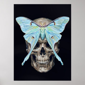 Totenkopf und Mondnachtfalter — Memento Mori Impas Poster