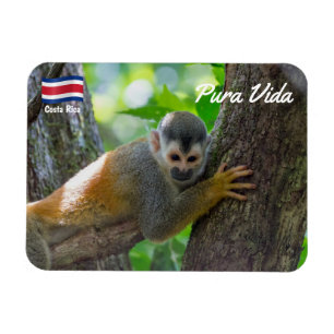 Totenkopfaffe in Manuel Antonio NP - Costa Rica Magnet