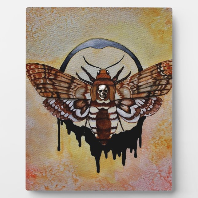 Totenkopfmoth Fotoplatte (Vorderseite)