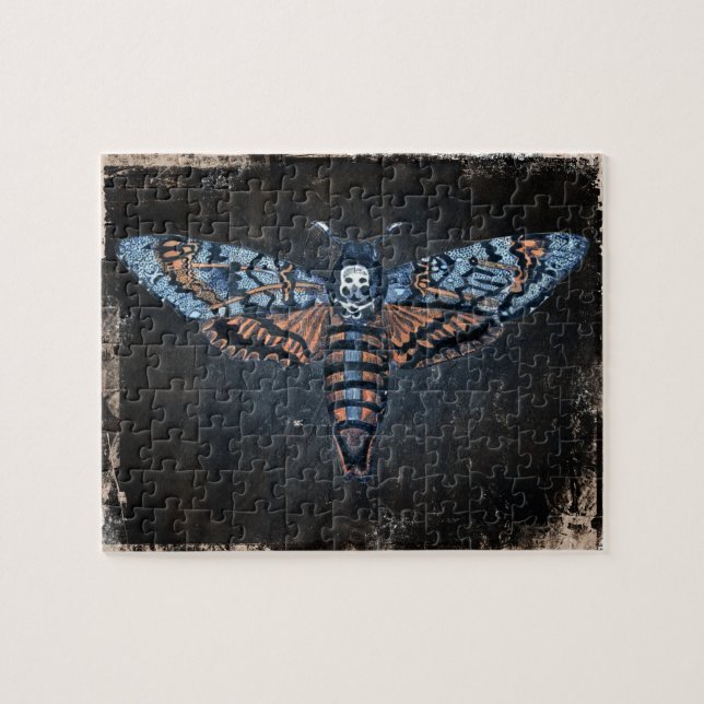 Totenkopfmotte, auch Sphinx-Atropomotte genannt (Horizontal)