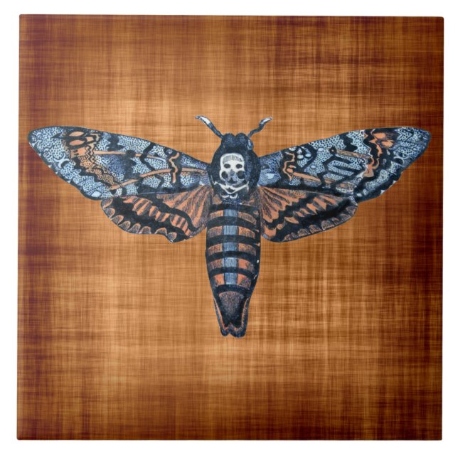 Totenkopfschwärmer, auch bekannt als Sphinx atropo Fliese (Vorderseite)