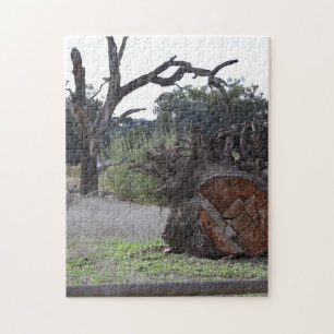 Toter Baum