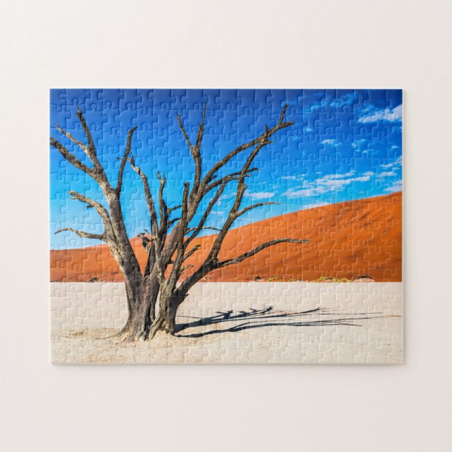Toter Baum in Deadvlei, Namibia (Horizontal)