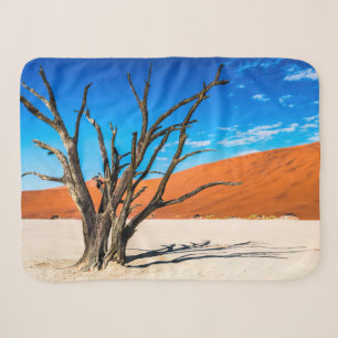 Toter Baum in Deadvlei, Namibia Sherpadecke