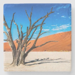 Toter Baum in Deadvlei, Namibia Steinuntersetzer