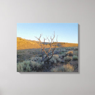 Toter Baum in der Nevada-Wüste Leinwanddruck